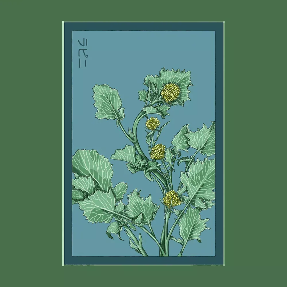 Shido Rapini Seed Packet