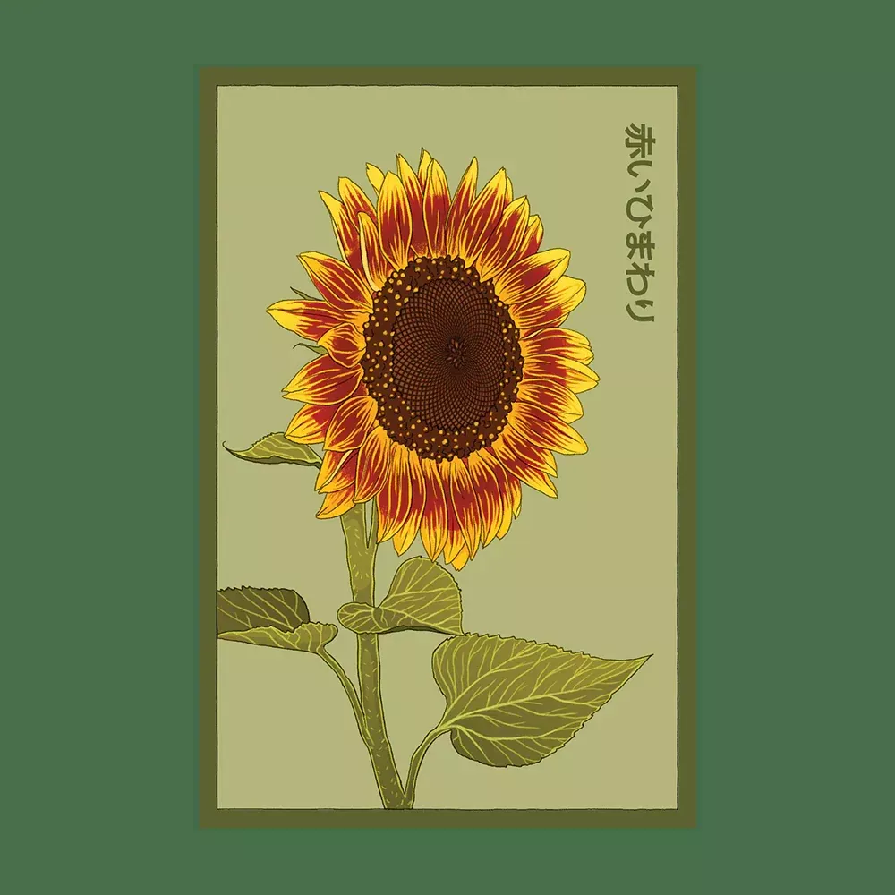 Shido Red Sunflower Seed Packet