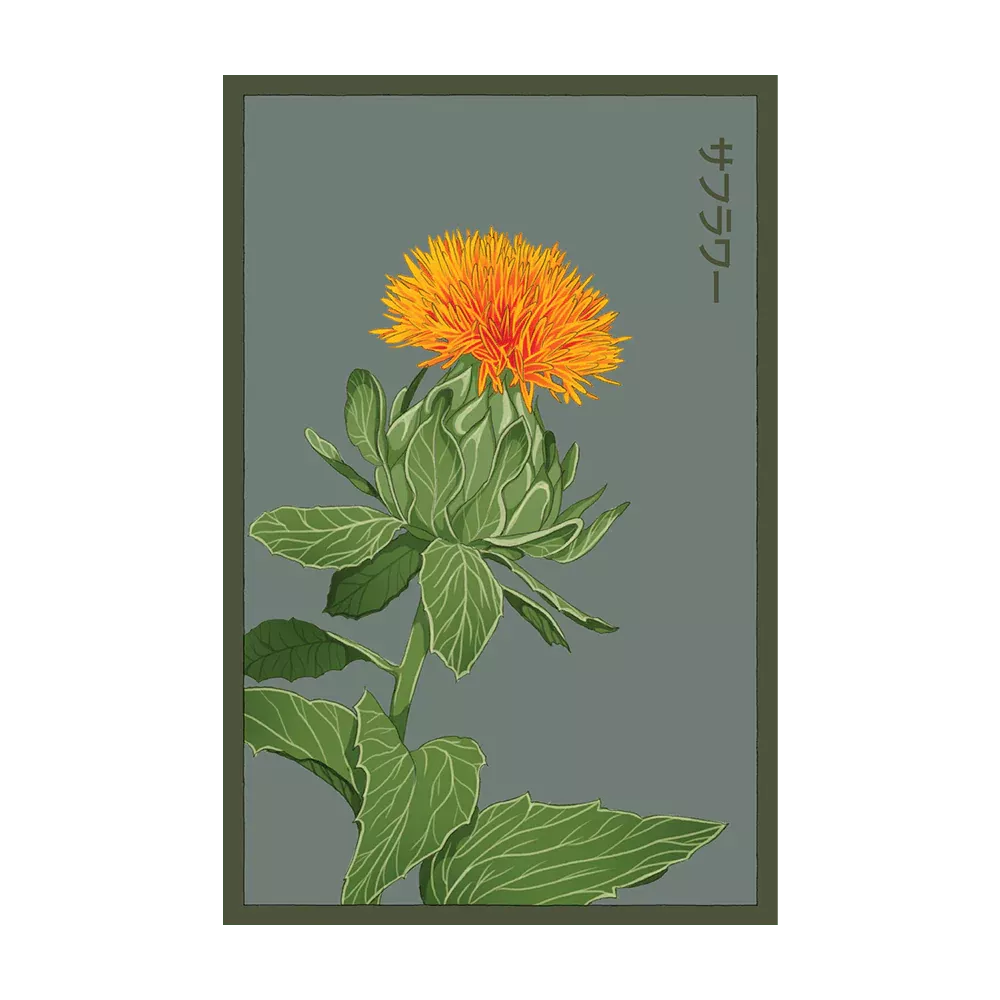 Shido Safflower Seed Packet