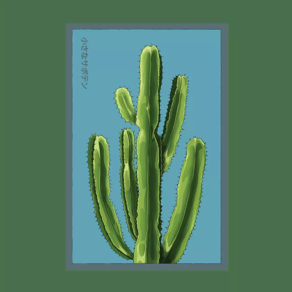 Shido Small Mixed Cacti Seed Packet