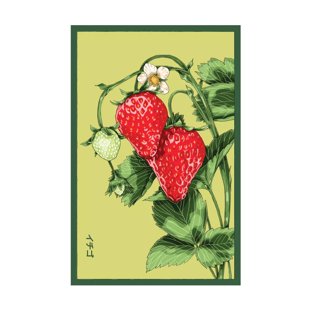 Shido Strawberry 'Basket Kisses' Seed Packet