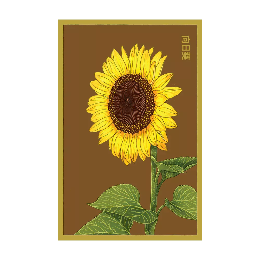 Shido Sunflower Seed Packet