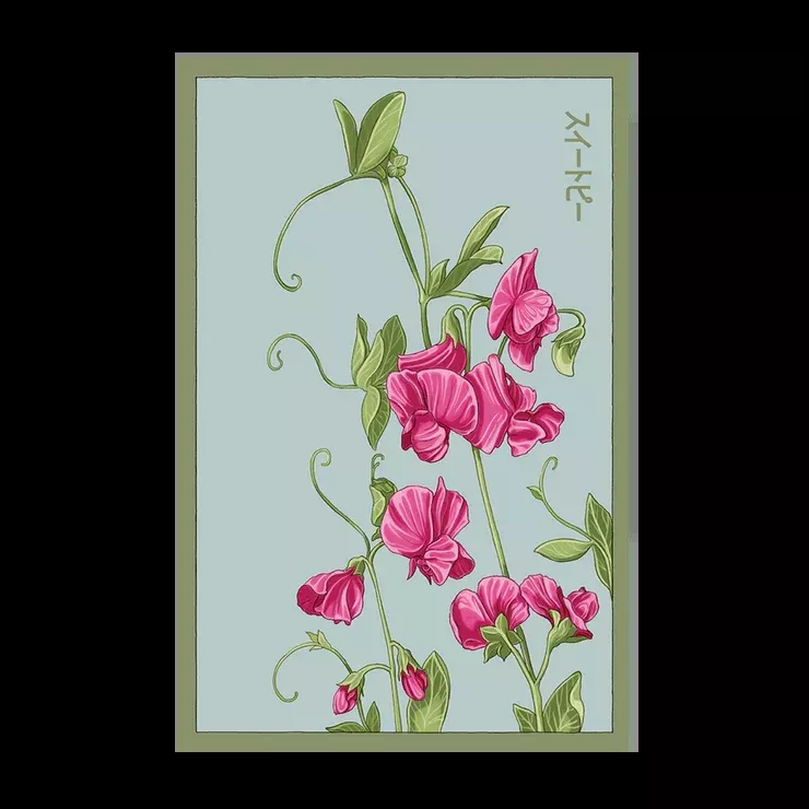 Shido Sweet Pea Seed Packet