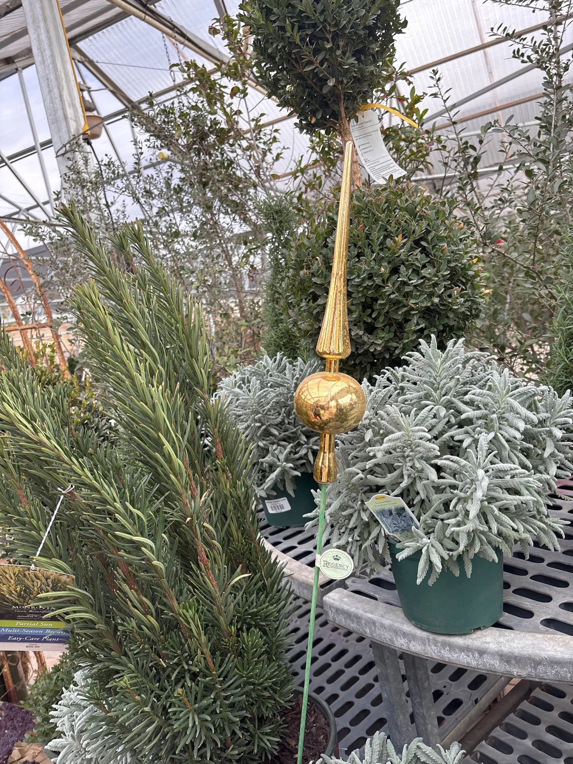 SHINY FINAL ORNAMENT PICK 32”