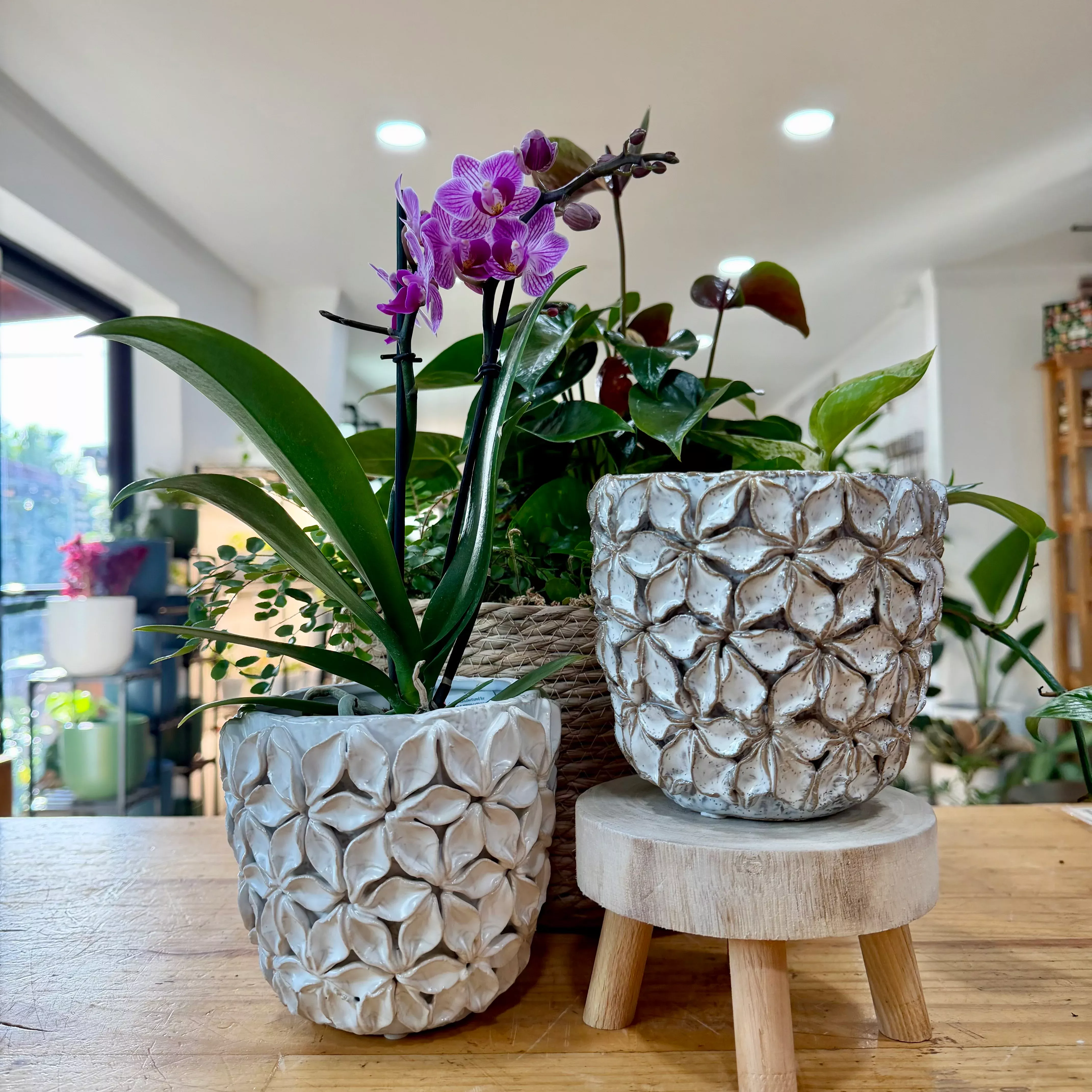 Six Petal Flower Planter