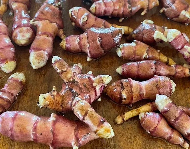 Skorospelka Purple Jerusalem Artichoke Tubers