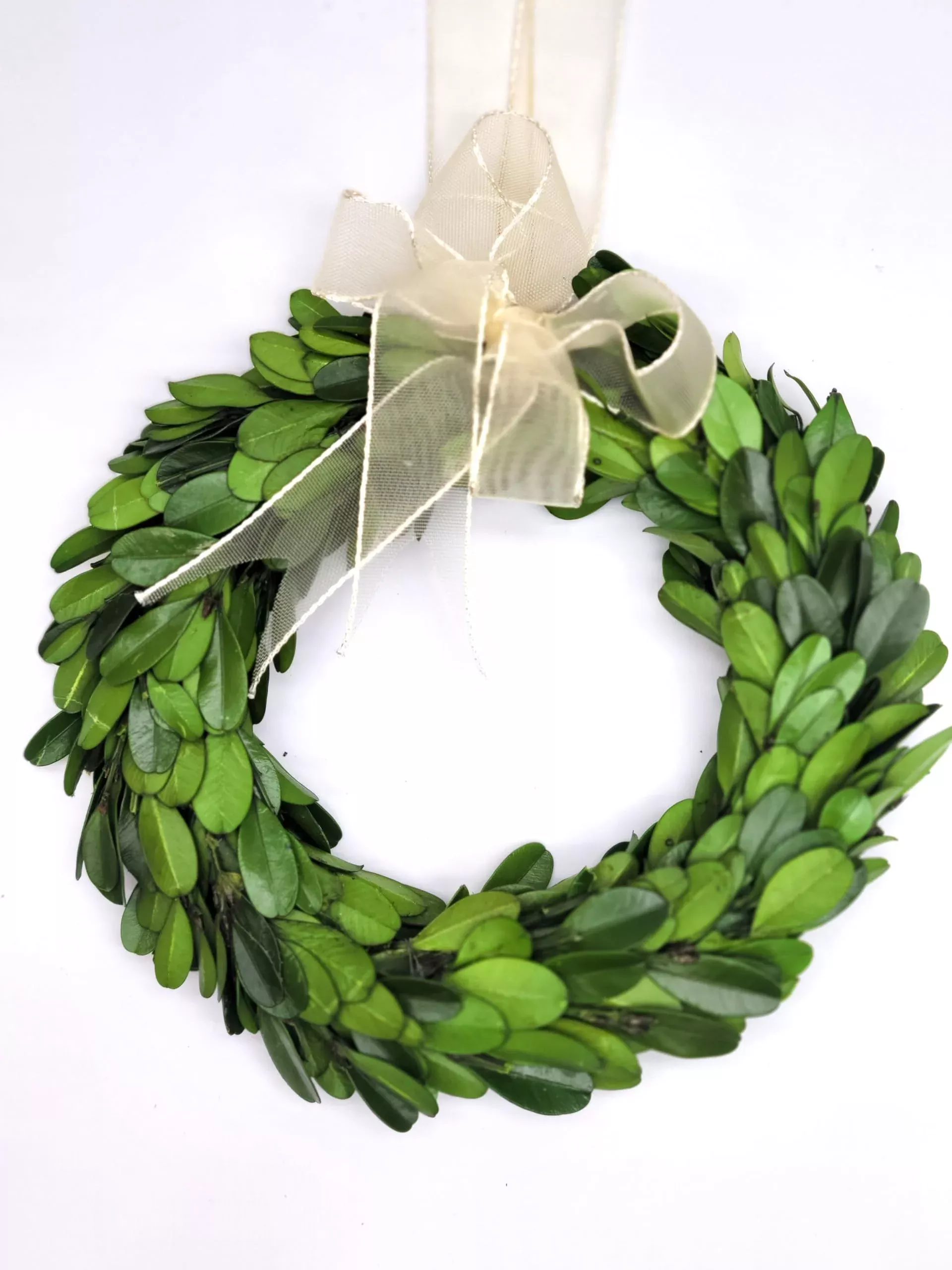 Small Boxwood Wreath