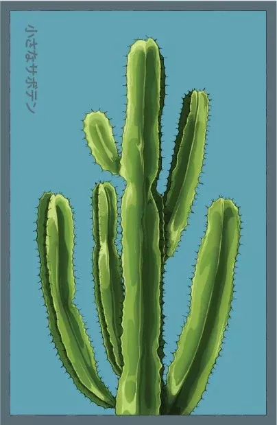 Small Mixed Cacti Indoor Seeds Packet