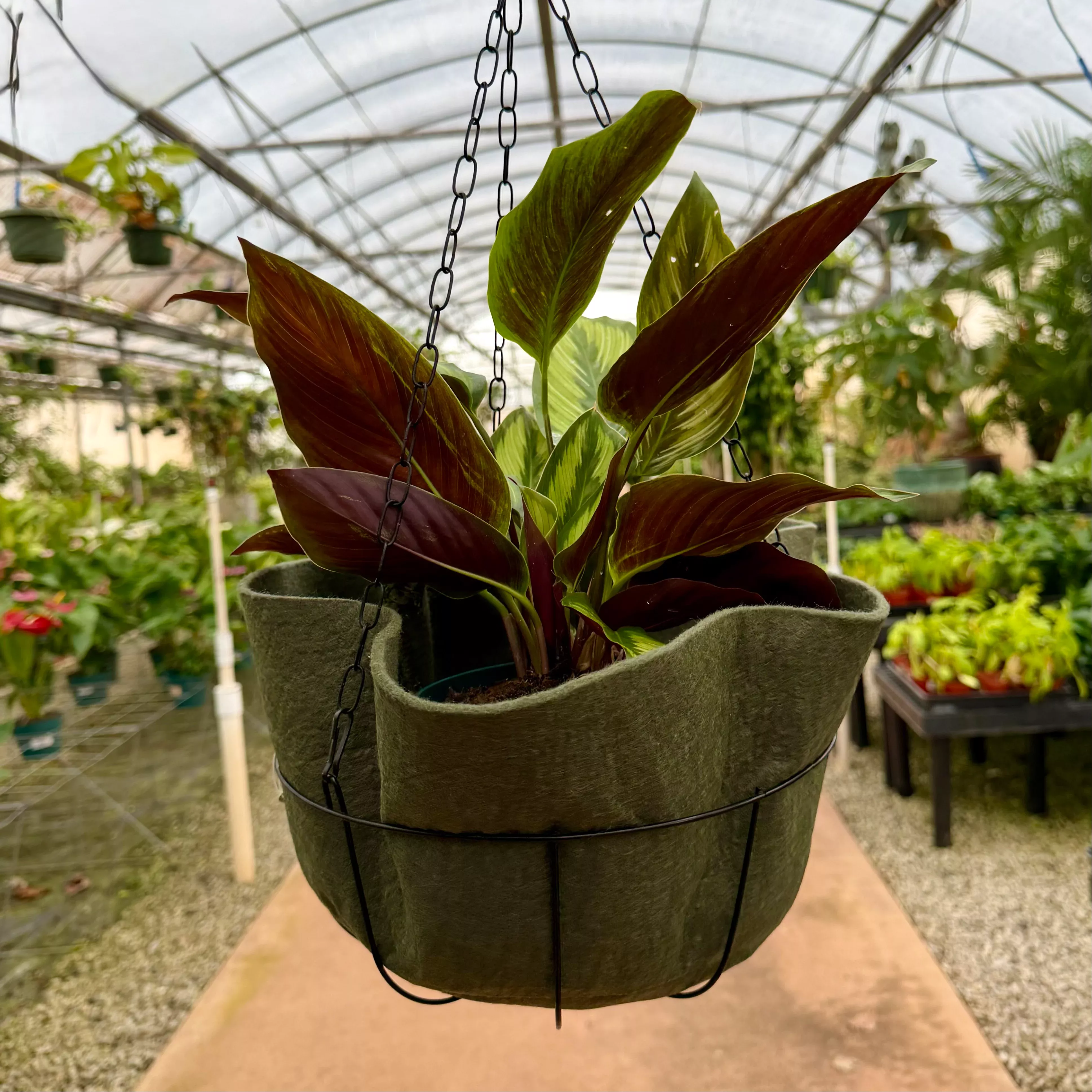 Smart Pots 14"