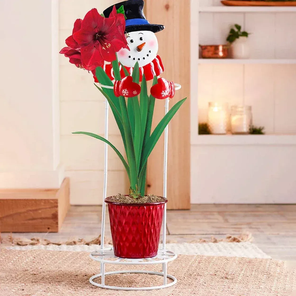 Snowman Plant Stand for Amaryllis