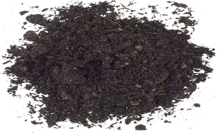 Soil