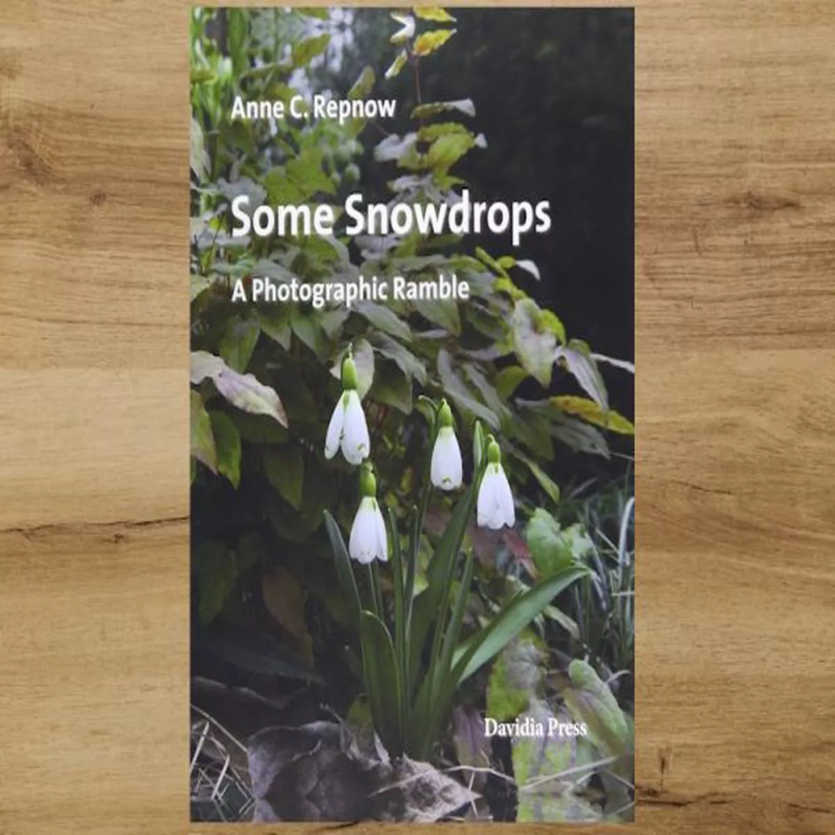 Some SnowdropsA Photographic Ramble by Anne C. Repnow