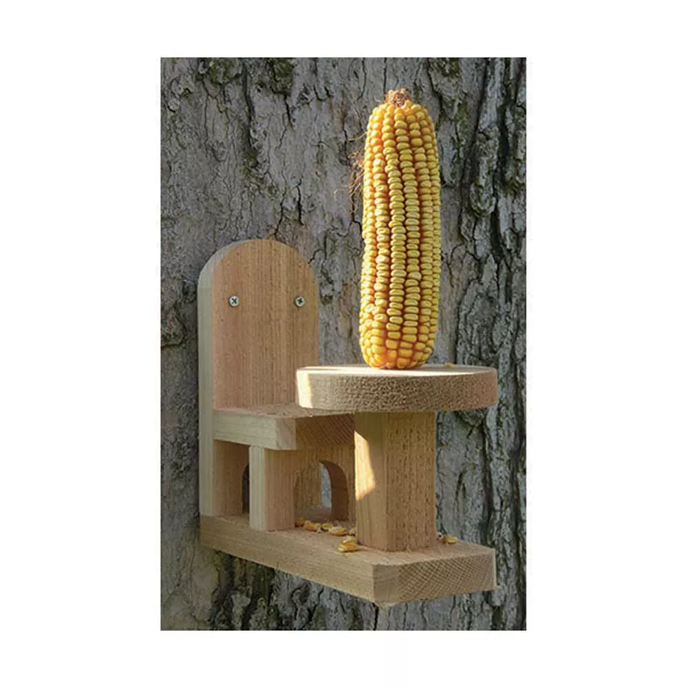 Songbird, Squirrel Table & Chair
