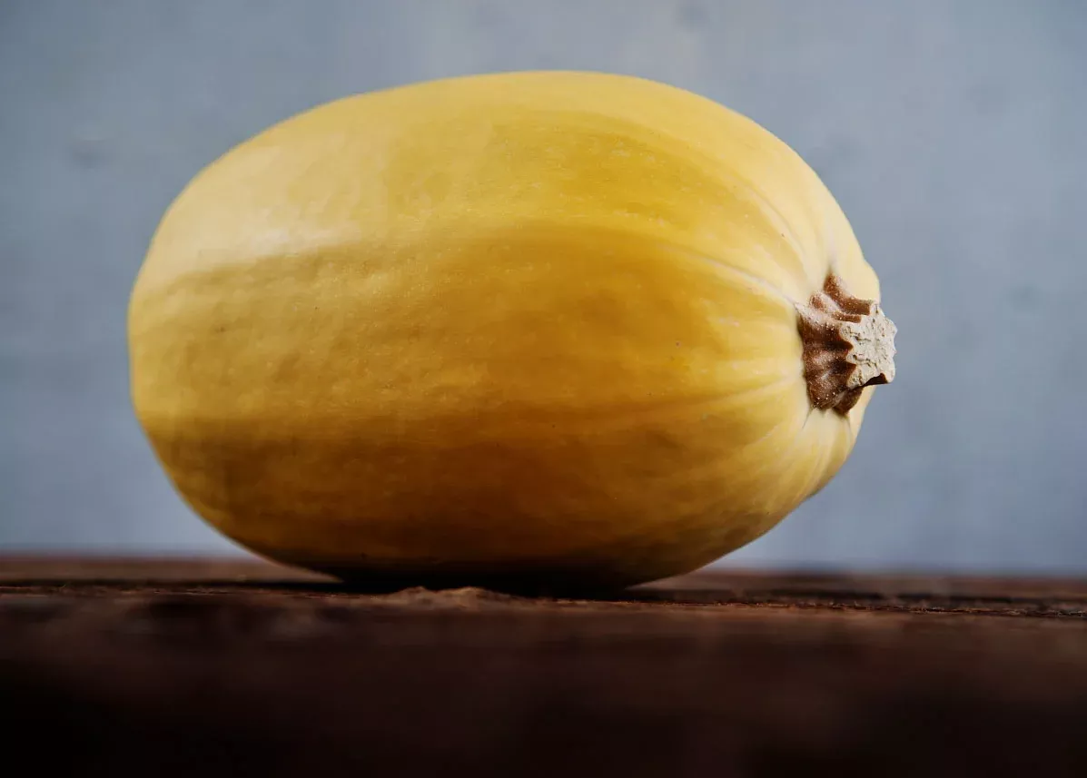 Spaghetti - Organic Winter Squash Seeds