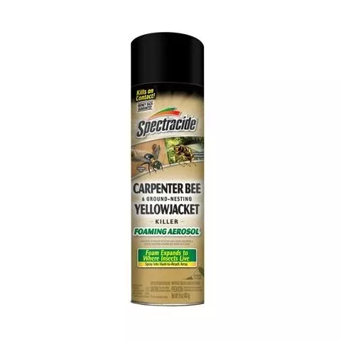 Spectracide Carpenter Bee & Ground Wasp Killer, 16 Oz.
