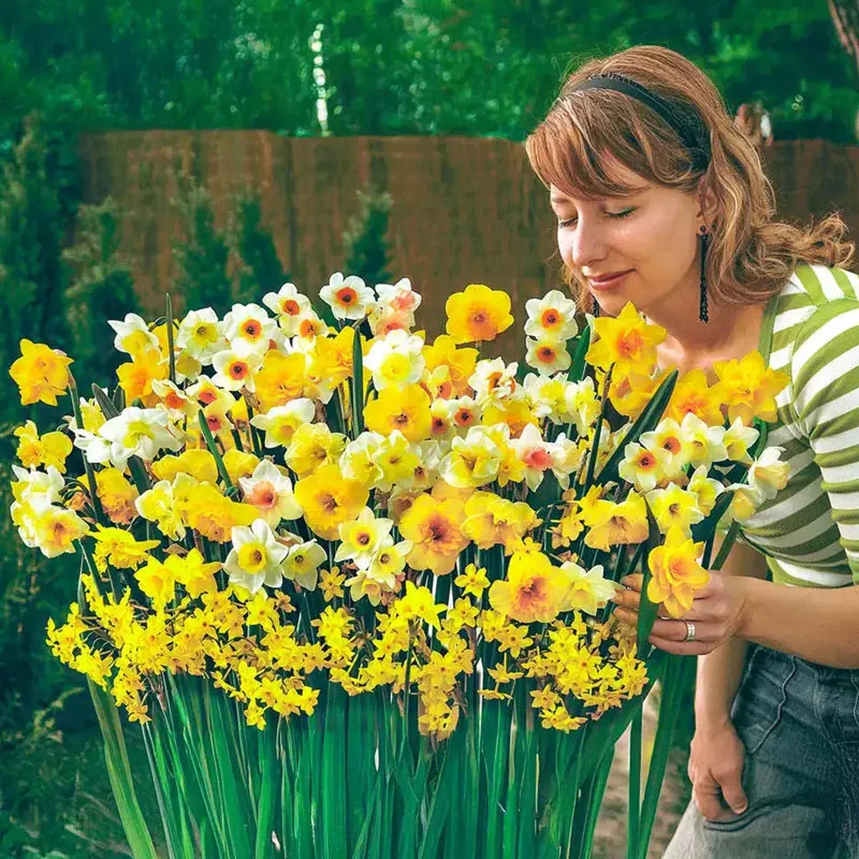 Spectrum Sweet Aroma™Daffodil Mixture