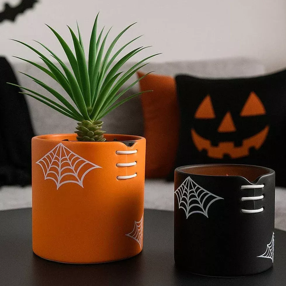 Spiderweb Stitch Ceramic Pot – Halloween Planter