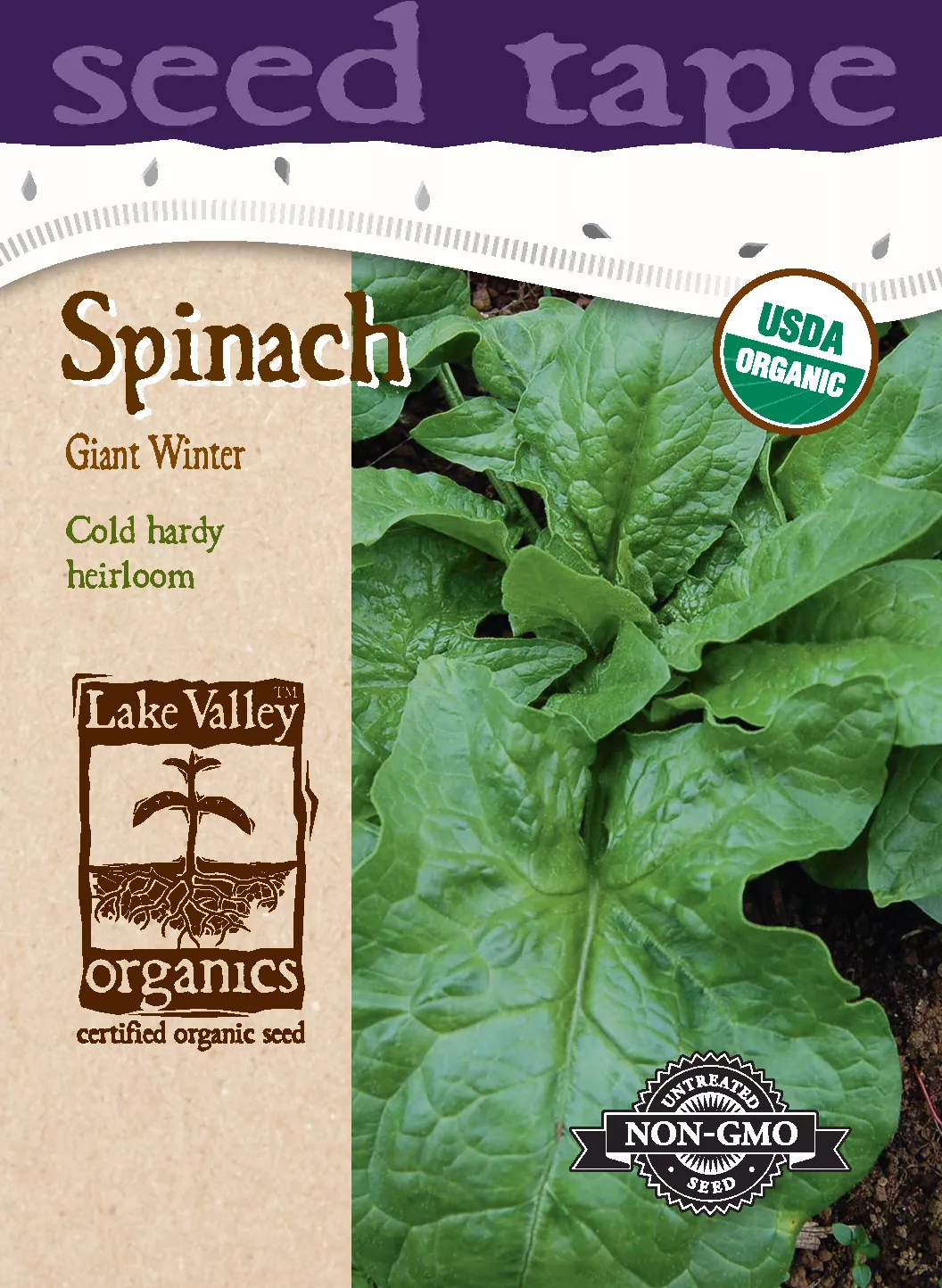 Spinach Giant Winter – Item #4729