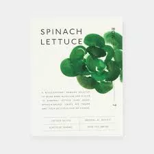 Spinach Lettuce Seeds