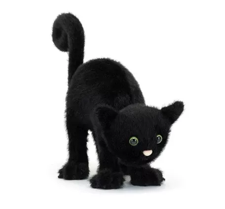 Spookipaws Cat