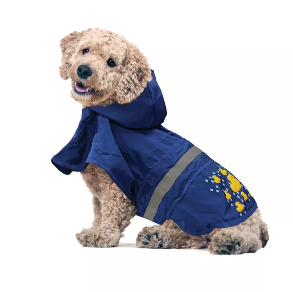 Spot, Ducky Raincoat
