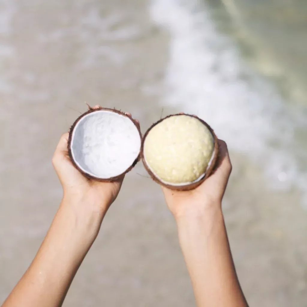 Sprouted Coconut *Pre-Order*