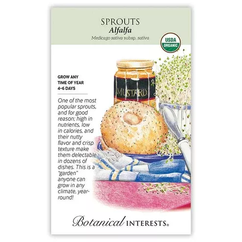 Sprouts 'Alfalfa' Organic
