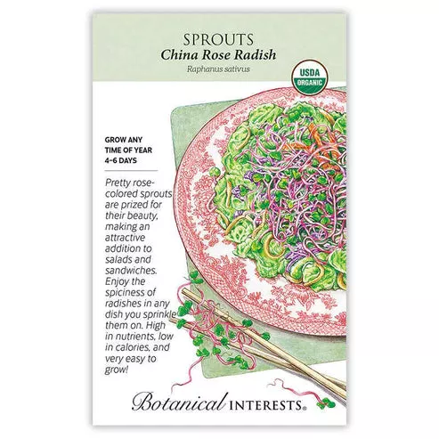 Sprouts 'Radish China Rose' Organic