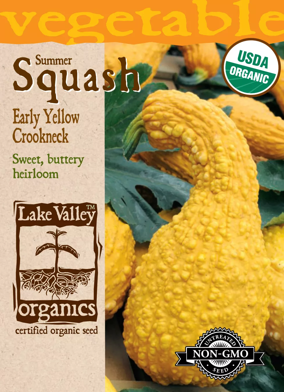 Squash (Summer) Early Yellow Crookneck – Item #4064