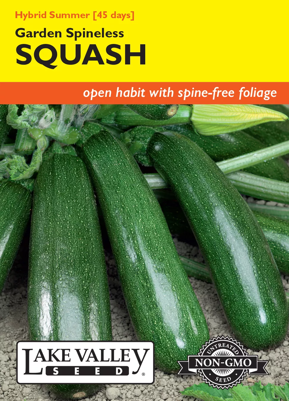 Squash (Summer) Garden Spineless Hybrid – Item #1690