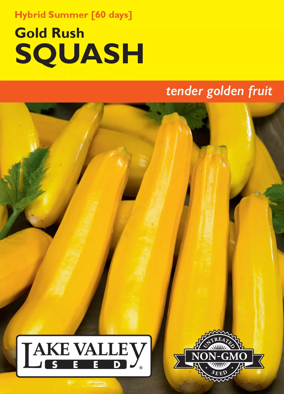 Squash (Summer) Gold Rush Hybrid – Item #283