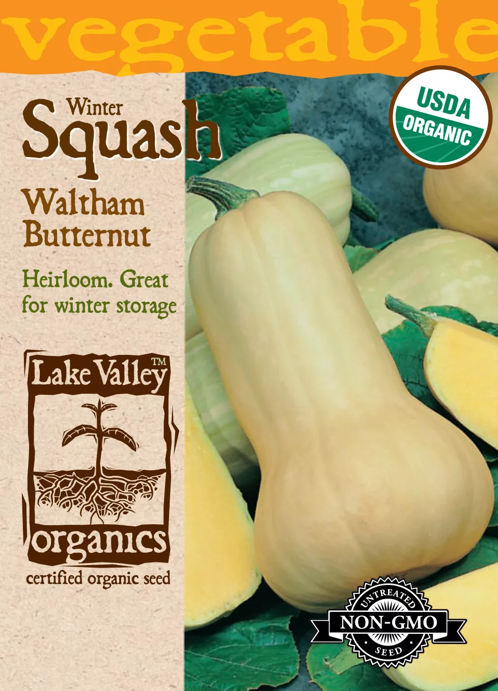Squash (Winter) Waltham Butternut – Item #876