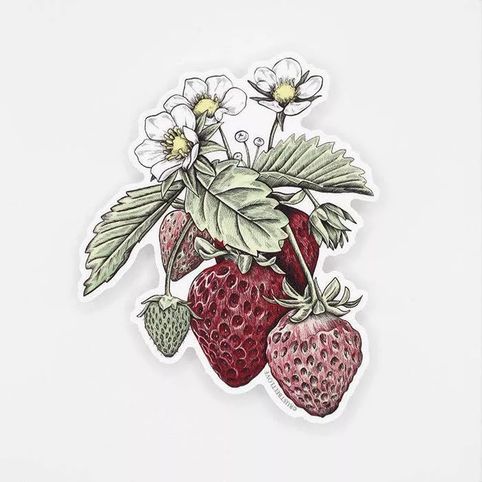 Strawberry Sticker