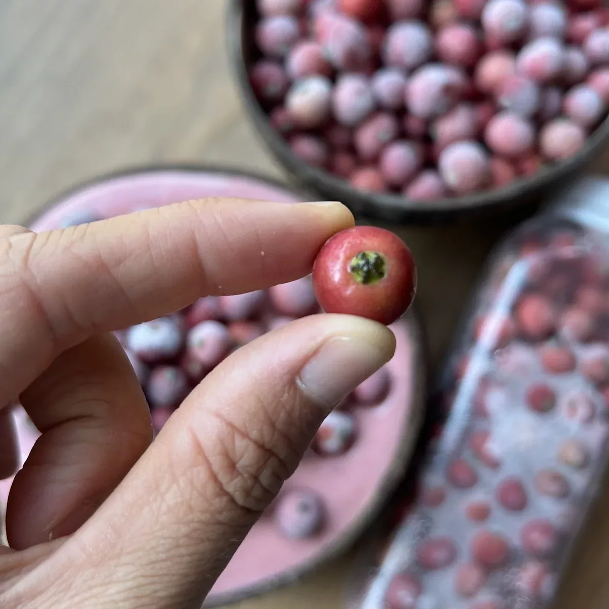 Strawberry Tree Berry *Frozen* *Pre-Order*