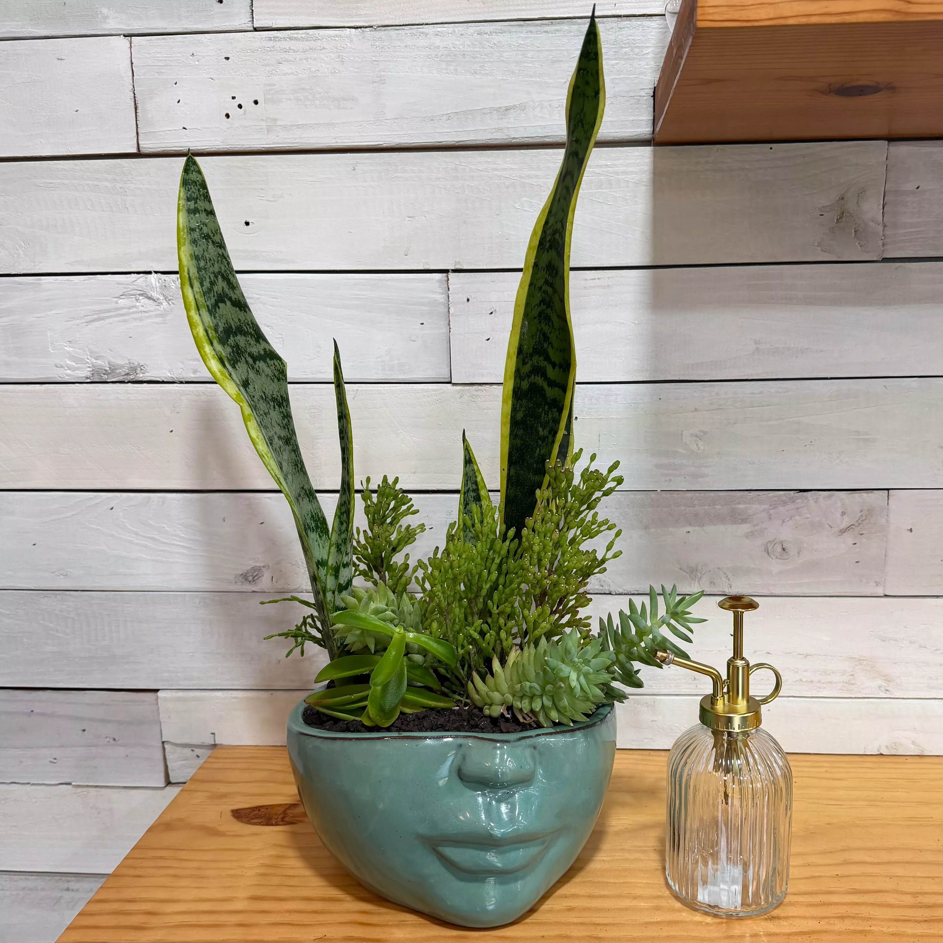 Succulent/Cactus Arrangements