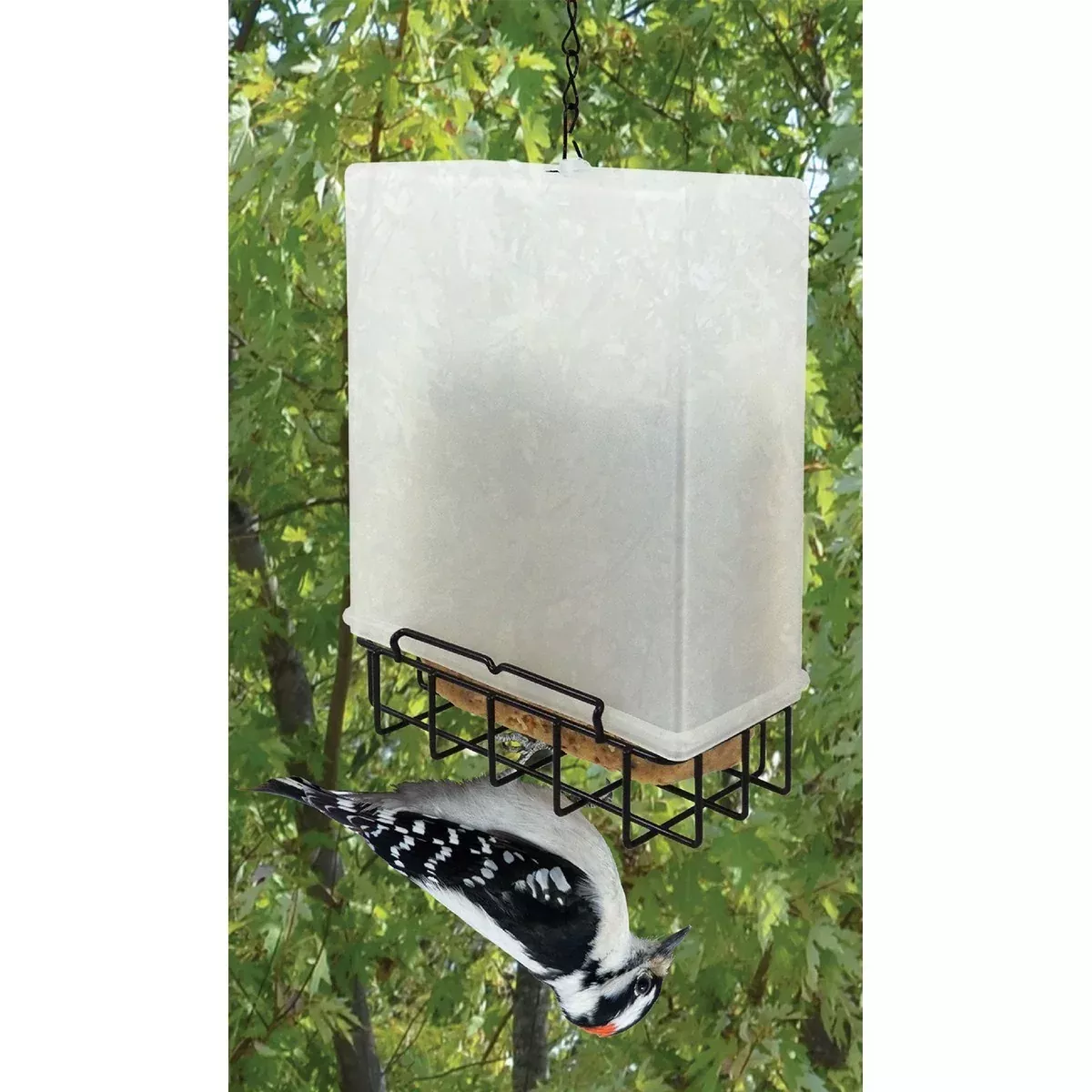 Suet Saver Feeder, 7.5"