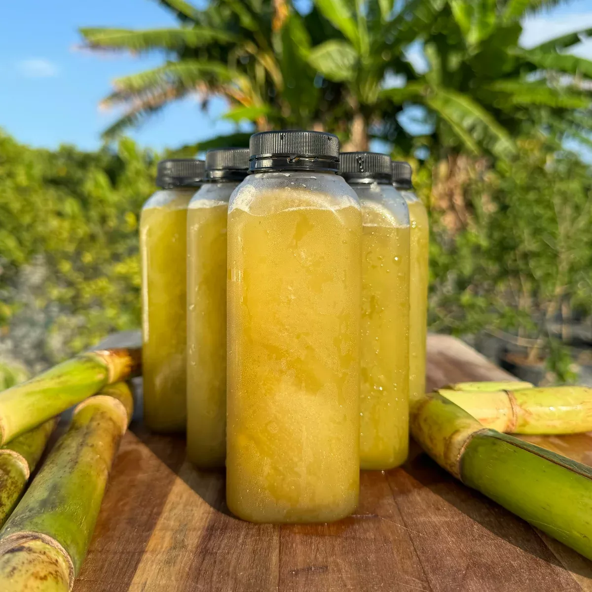 Sugarcane Juice *Frozen*