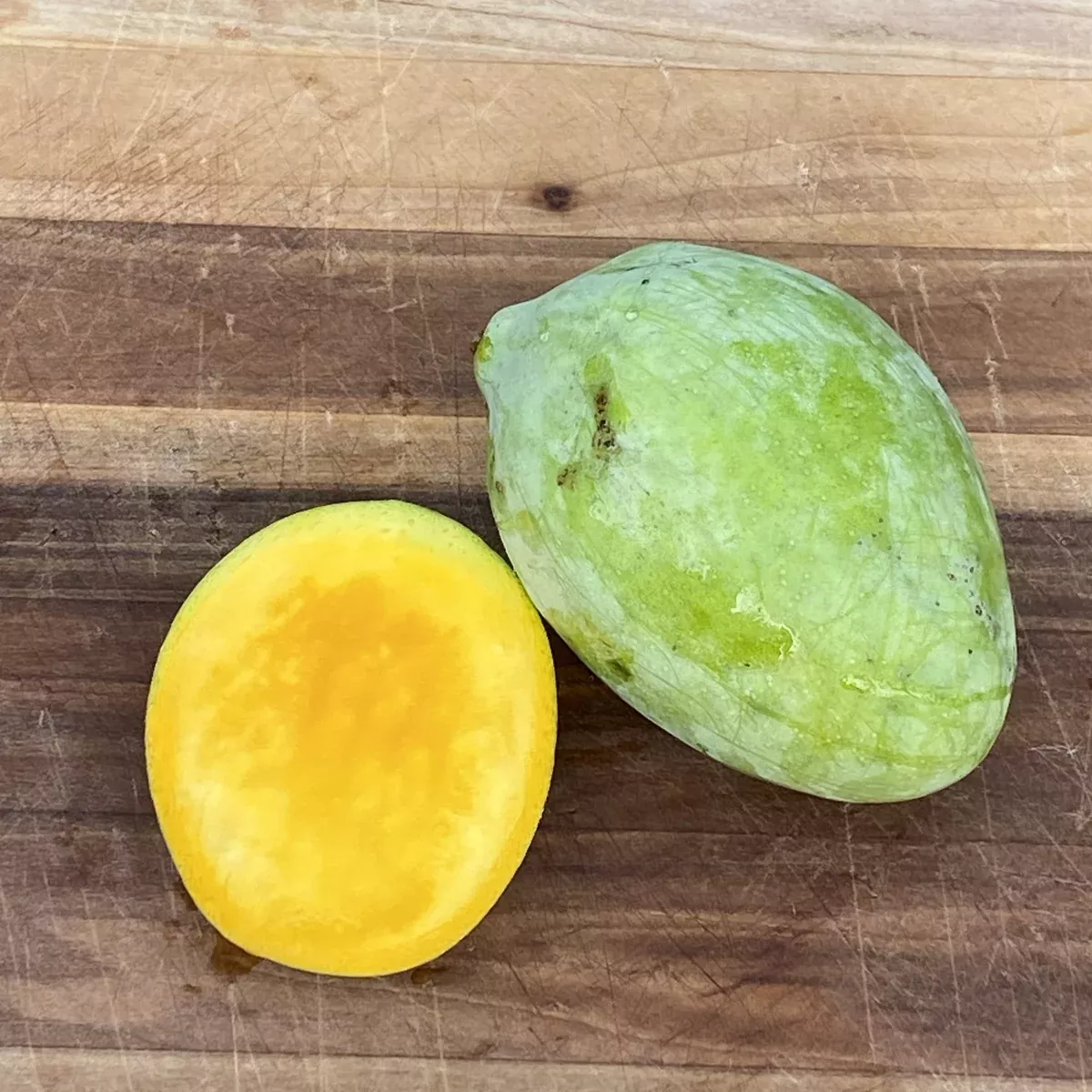 Sugarloaf Mango *Pre-Order*