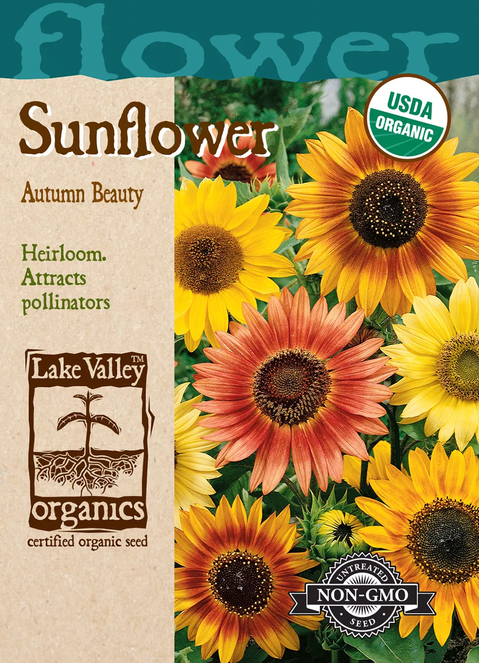 Sunflower Autumn Beauty – Item #4474