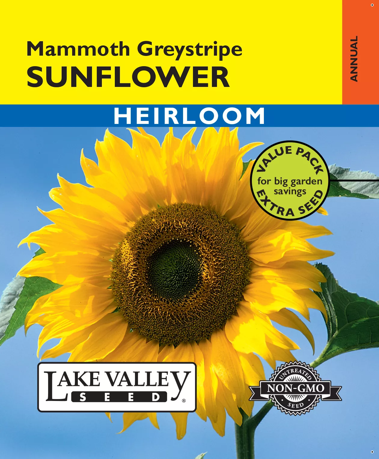 Sunflower Mammoth Greystripe – Item #499