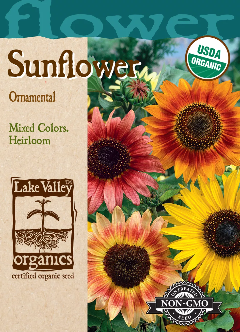 Sunflower Ornamental Dwarf Mixed Colors – Item #888