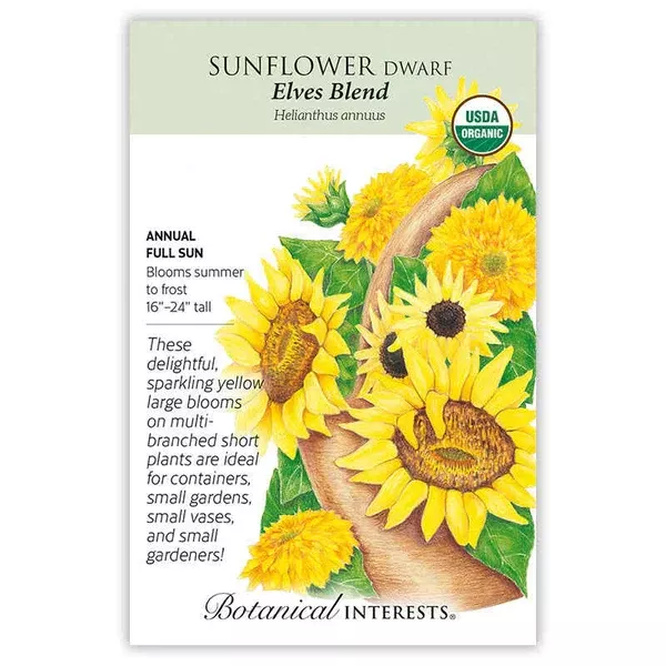 Sunflower seeds 'Dwarf Elves Blend'