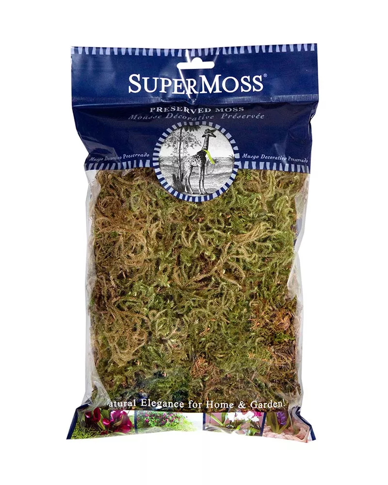 Super Moss Preserved Forest Moss