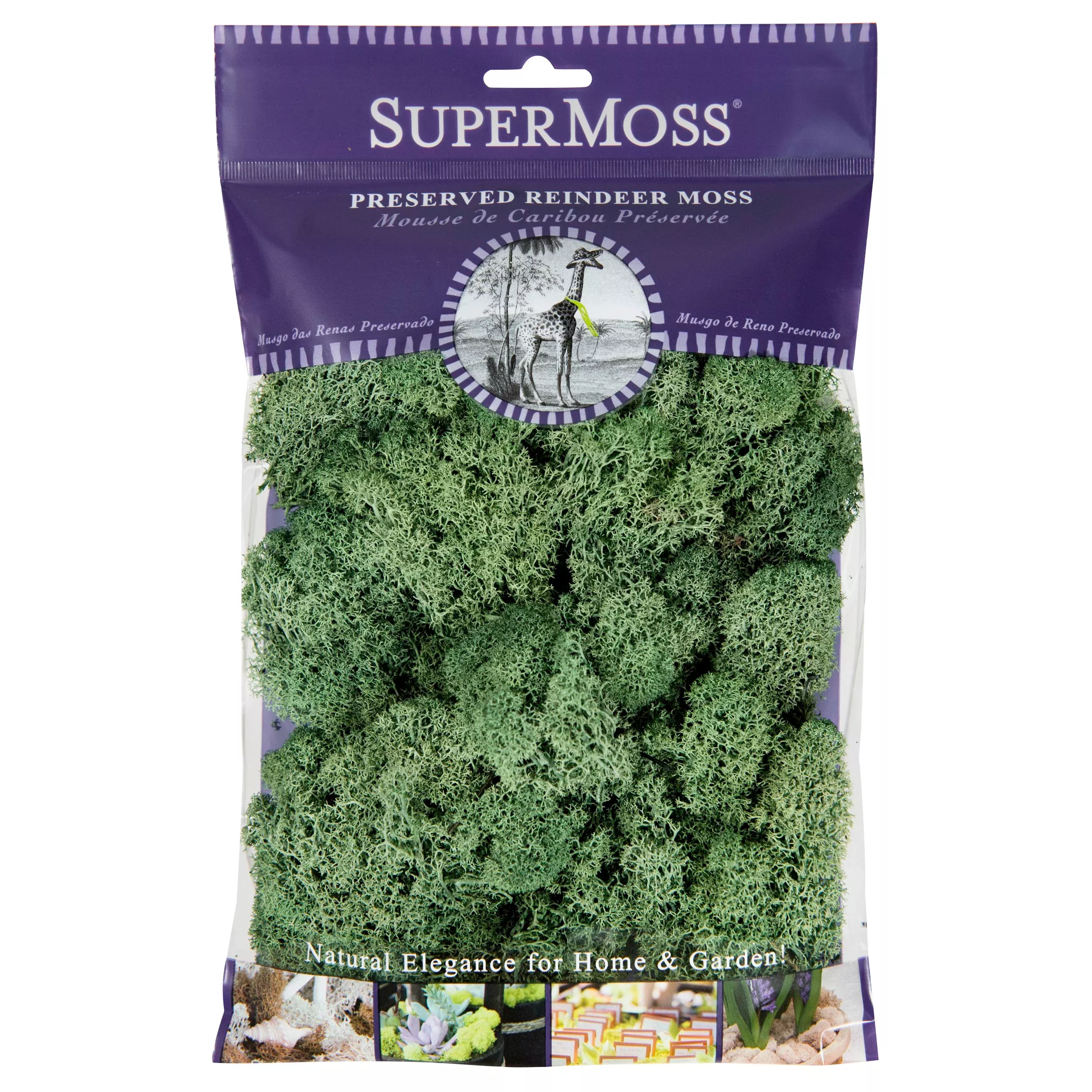 SuperMoss Reindeer Moss Preserved - Moss Green - 2oz (80.75cu in) - Bagged