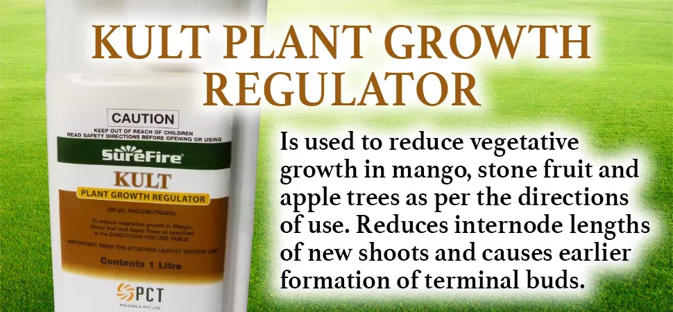 Surefire Kult Plant Growth Regulator