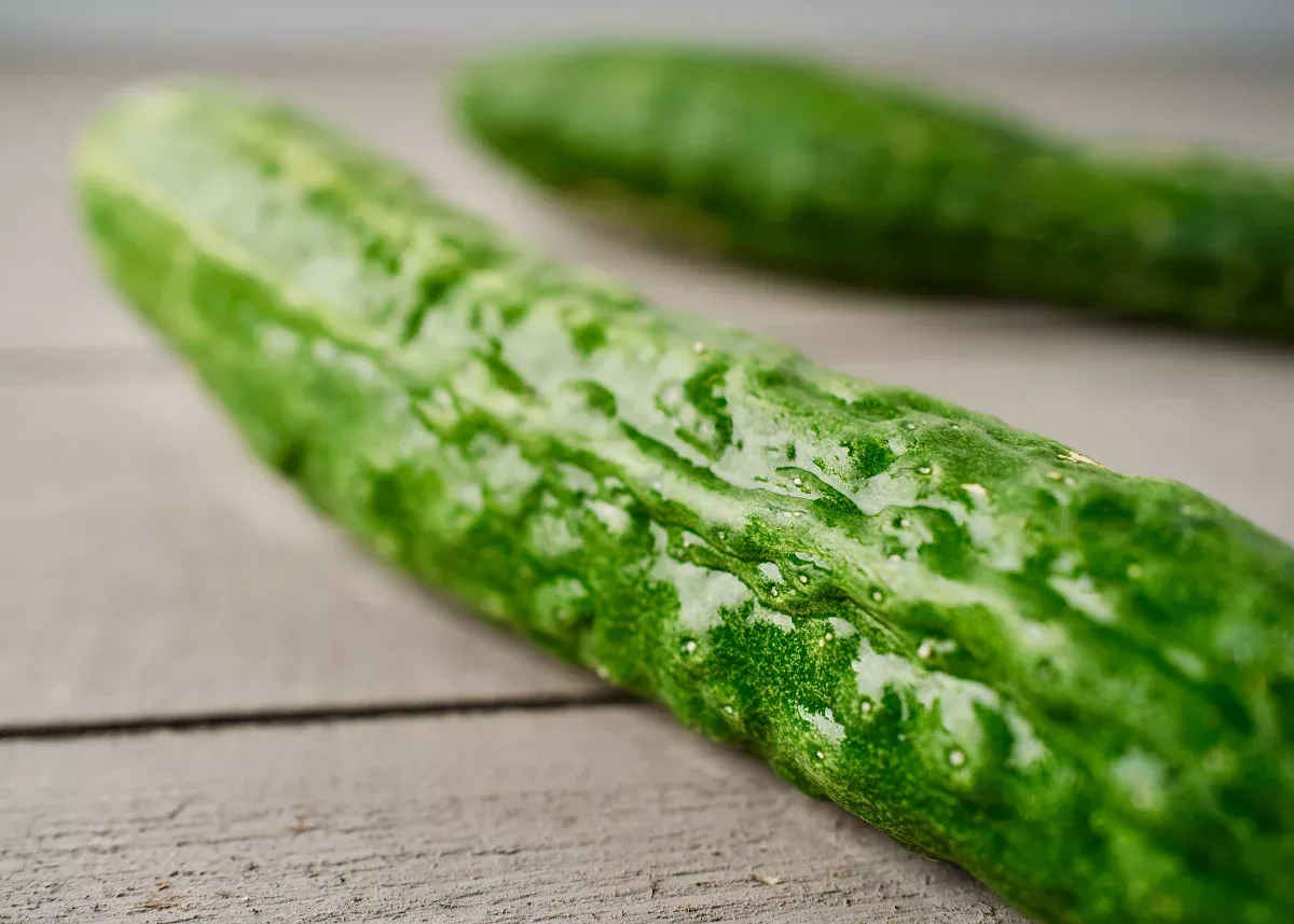 Suyo Long - Organic Cucumber Seeds