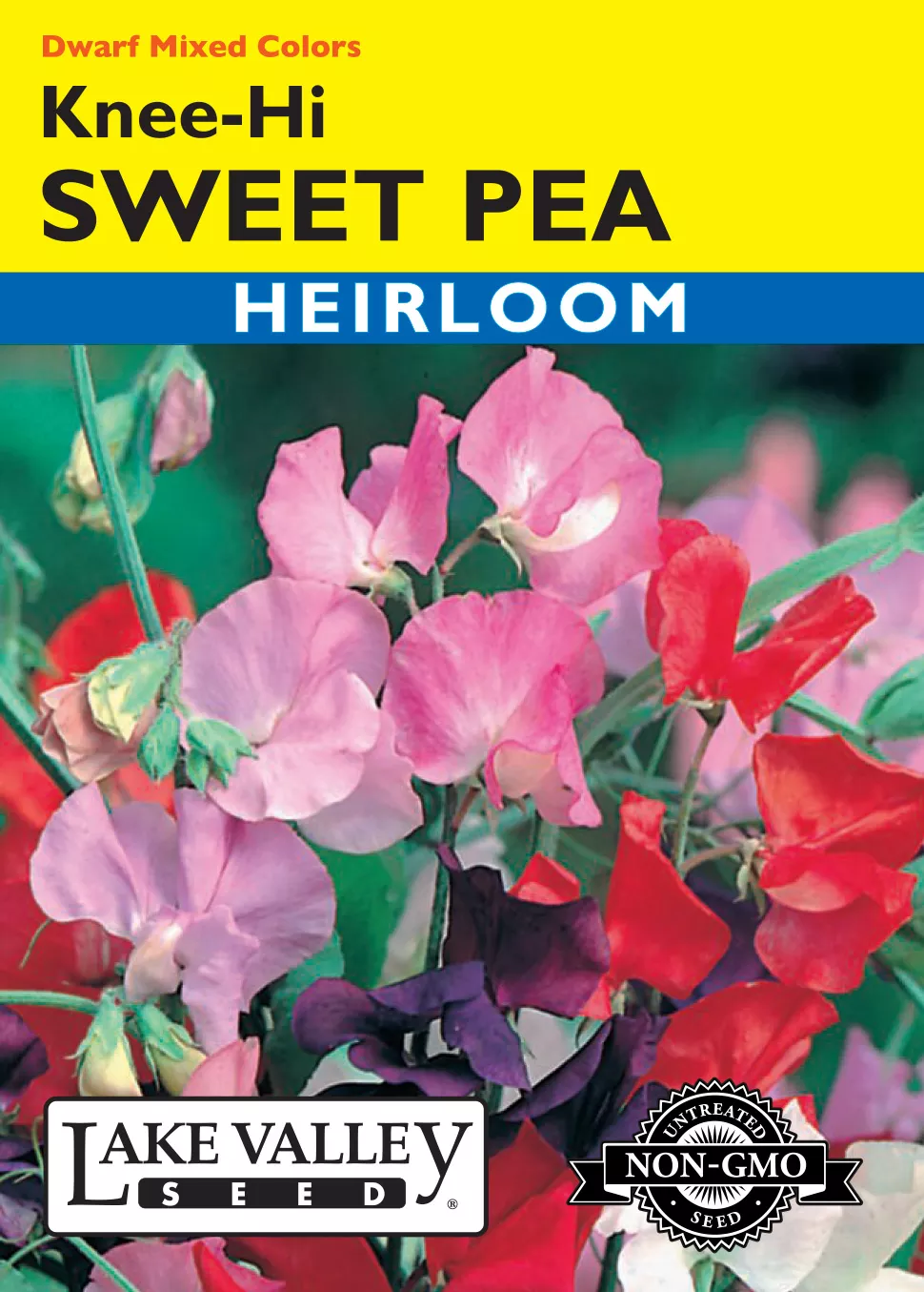 Sweet Pea Knee-High Dwarf Mixed Colors – Item #292
