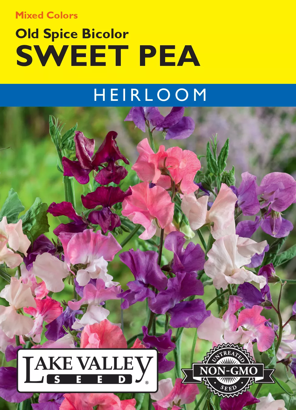 Sweet Pea Old Spice Bicolor Mixed Colors – Item #1242