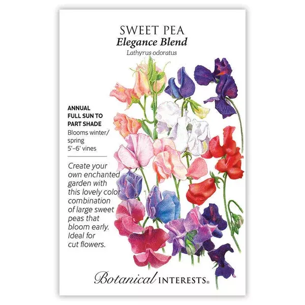 Sweet Pea seeds 'Elegance Blend'