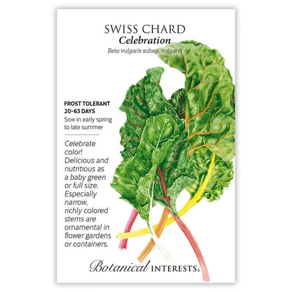 Swiss Chard seeds 'Celebration'